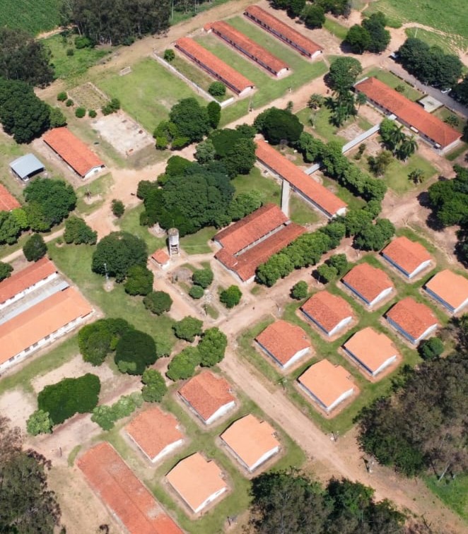 Estrutura e Alojamentos